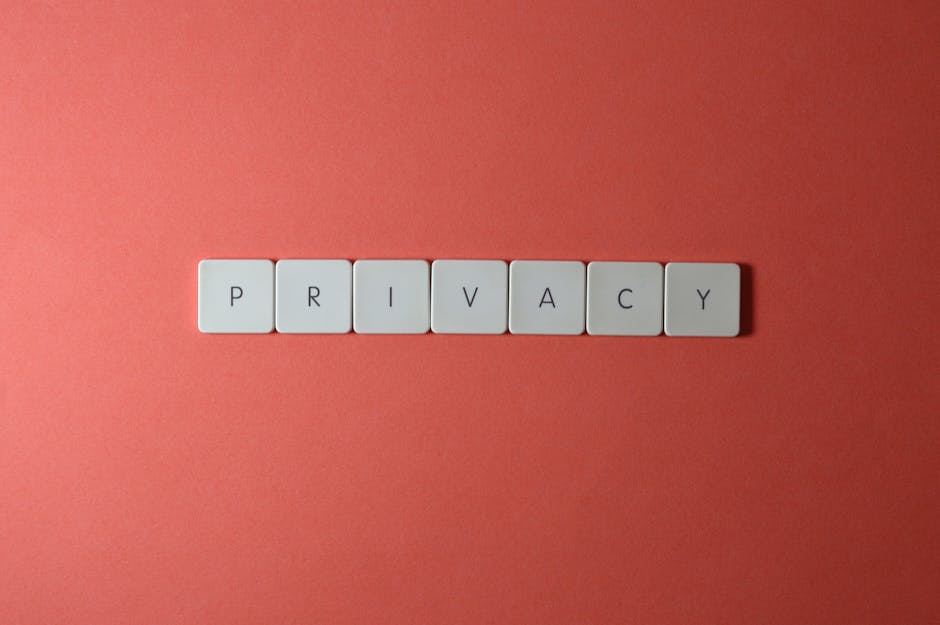 Chatbot Security: Essential Data Privacy Insights for CEOs — workflow